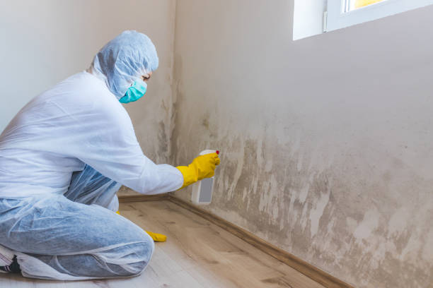 Licensed Mold Testing service in Fayetteville, NC - WQB Mold Removal