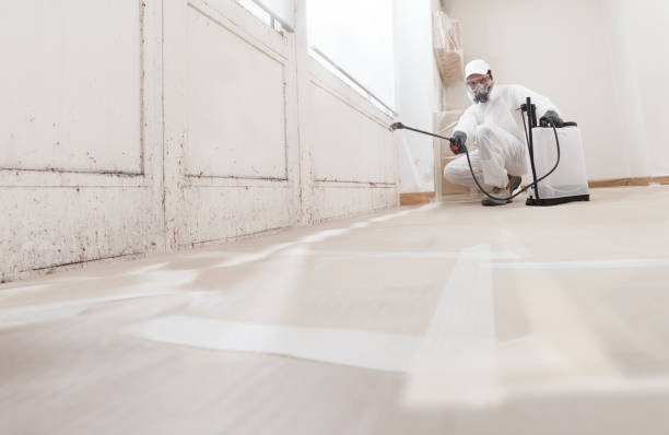 Trusted Mold Testing service in Fayetteville, NC - WQB Mold Removal