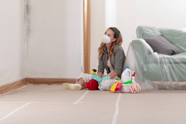 Reliable Mold Testing contractor in Fayetteville, NC by WQB Mold Removal