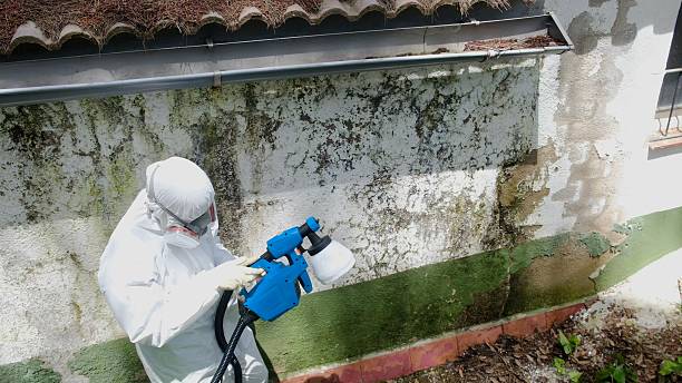 Top rated local Mold Testing specialists in Fayetteville, NC